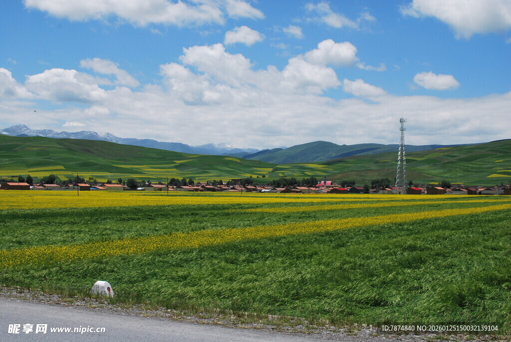 田园风光 黄绿相间田野美景