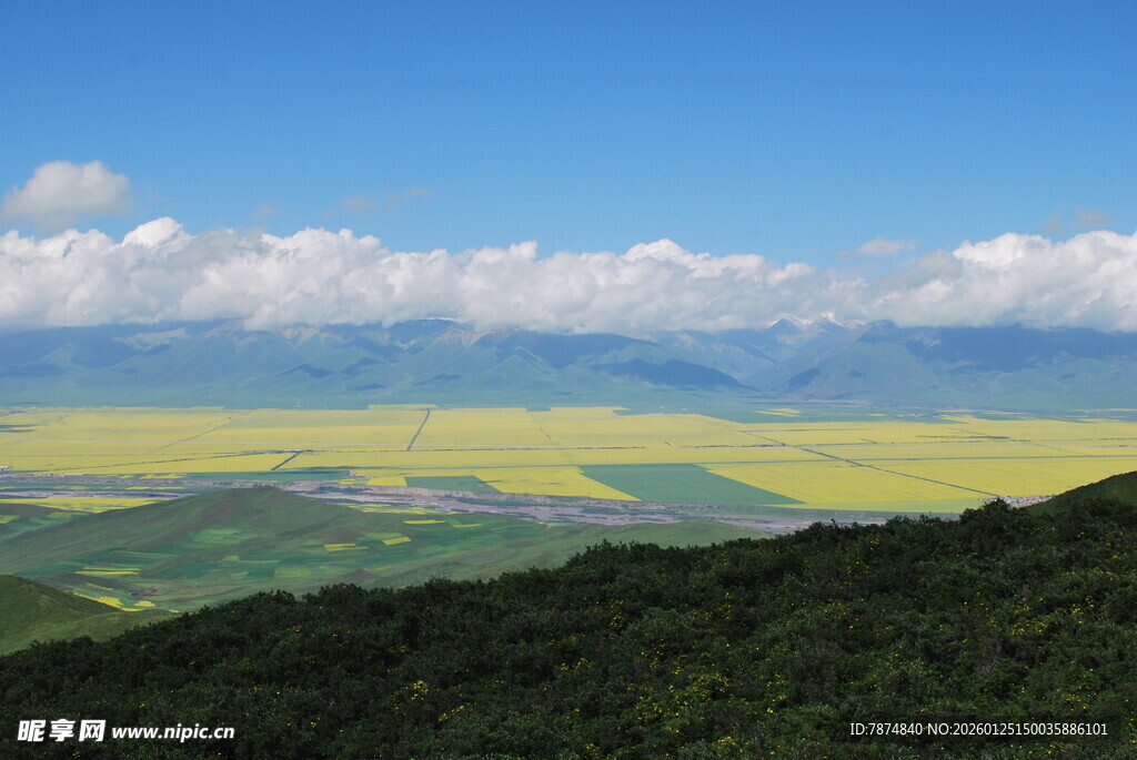 壮美油菜花海与远山蓝天