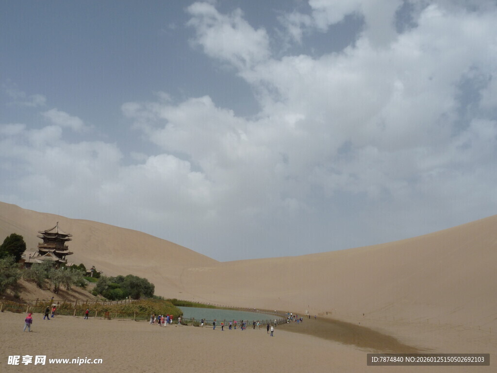 沙漠中的绿洲景观