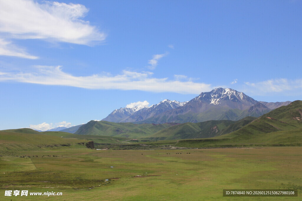壮丽高山下的广袤草原