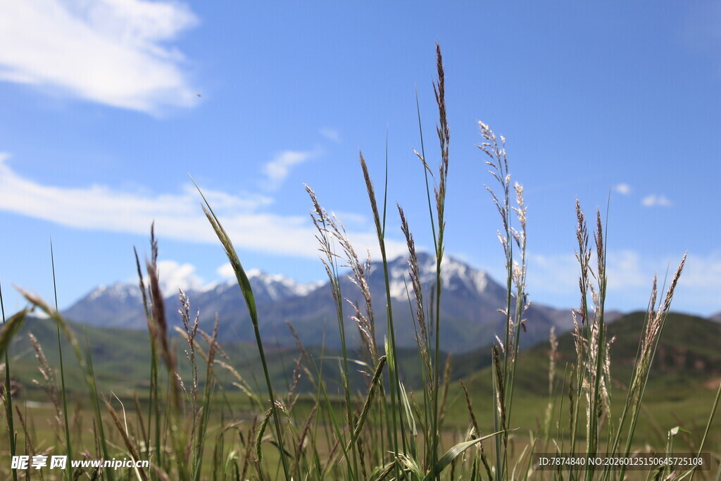 草原远山蓝天美景