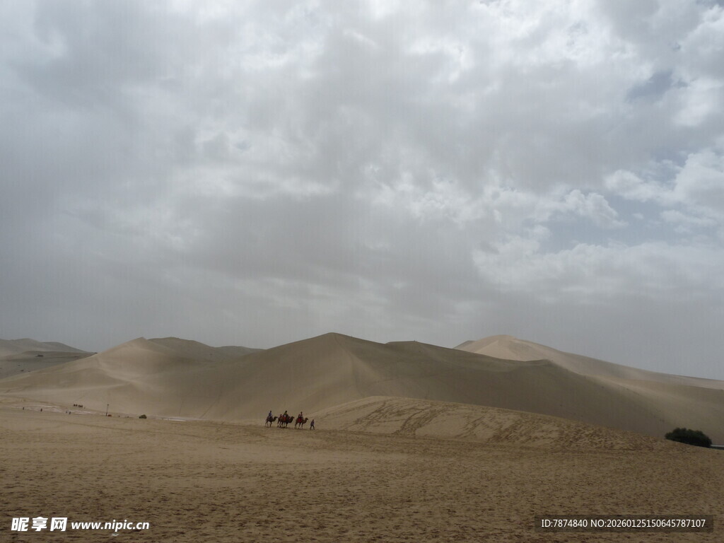 沙漠风光 驼队悠然前行