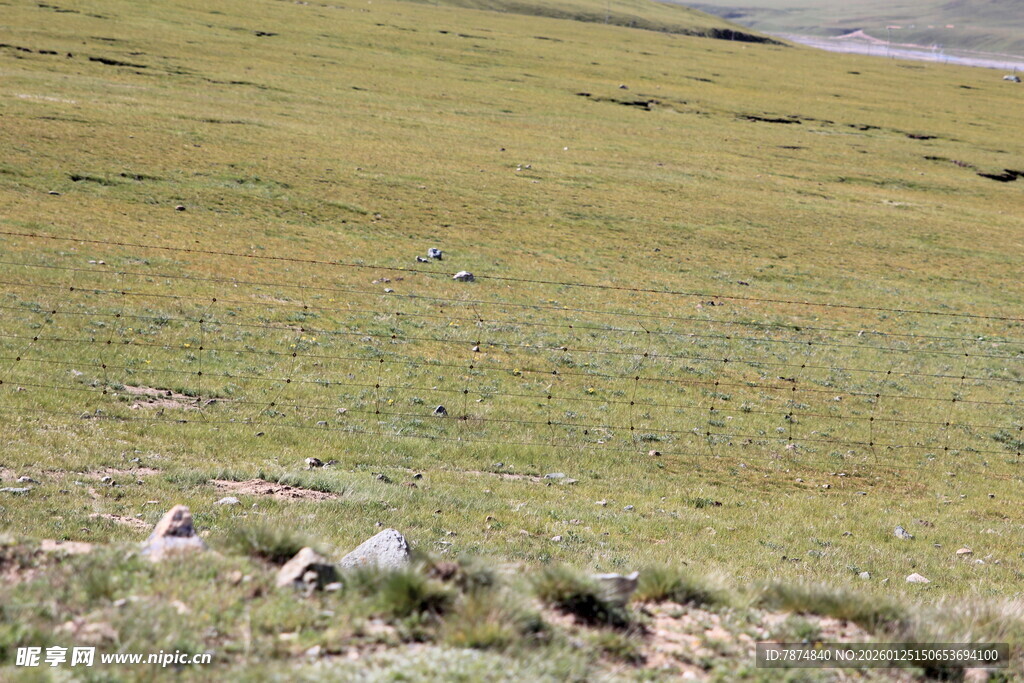 草原风光 零星石块点缀