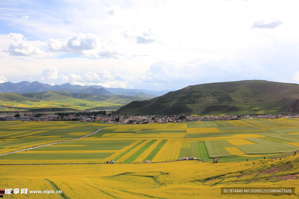 金黄田野与远山美景