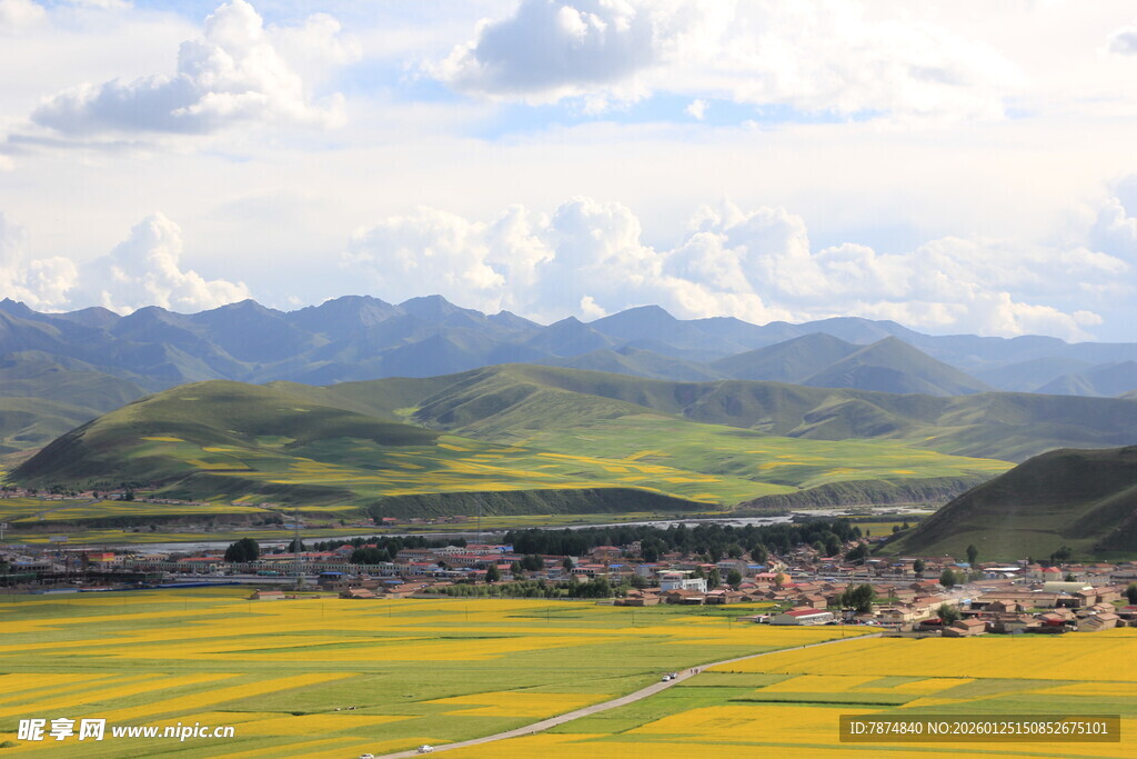 草原花海与远处山峦美景