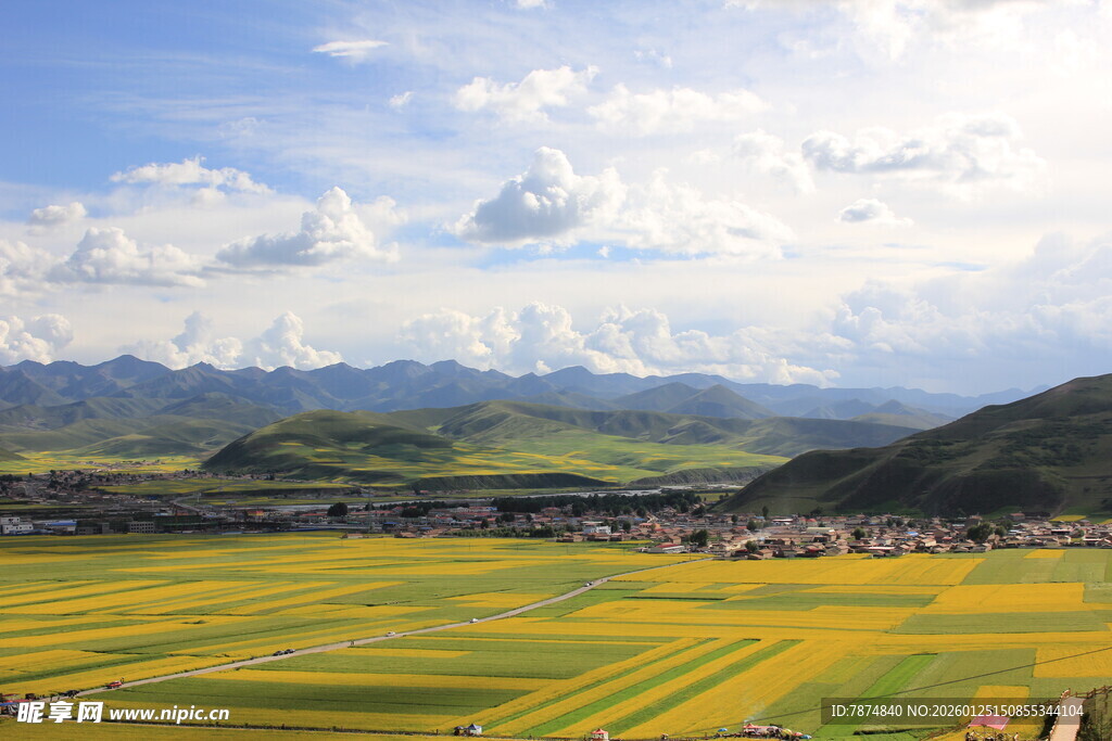 金黄田野与远处山峦美景