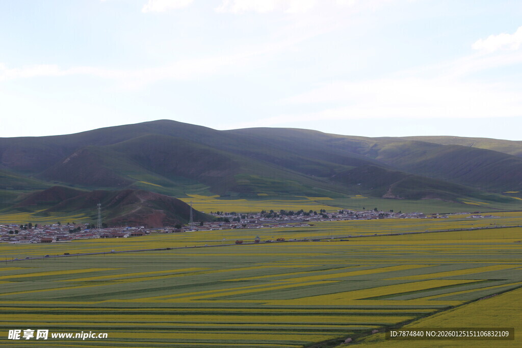 草原田野间的壮美风光