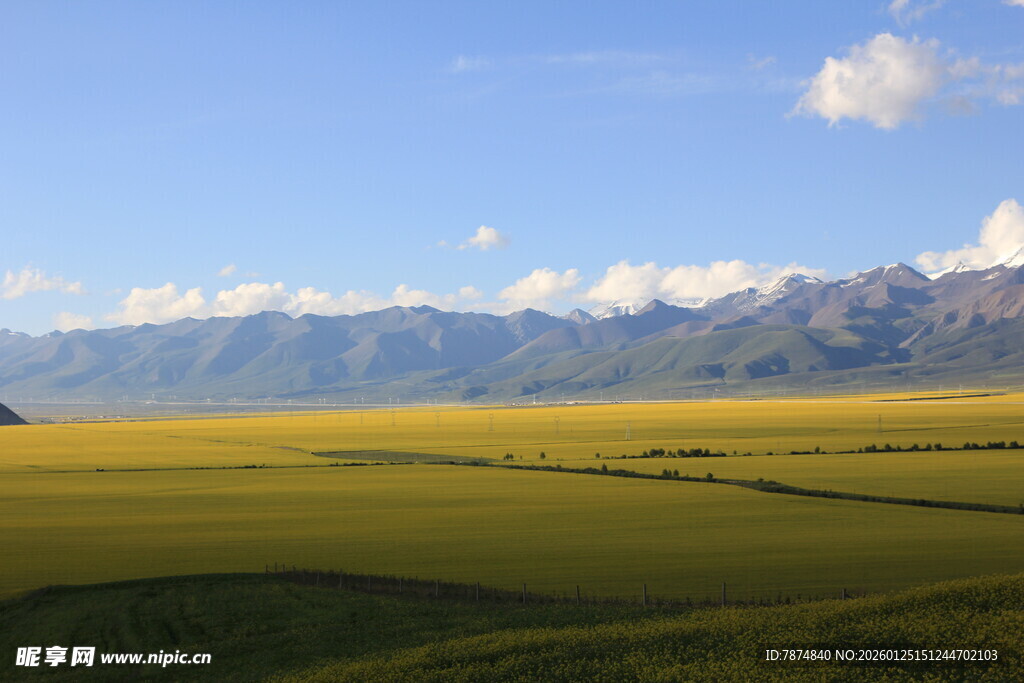 广袤草原与远处雪山美景
