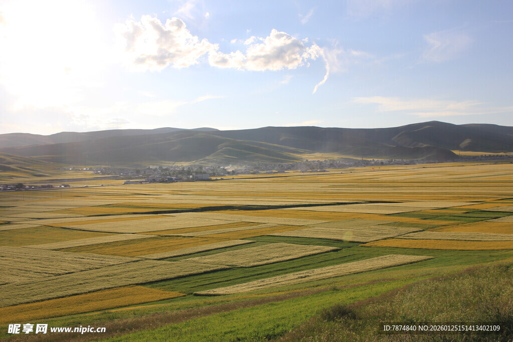 广袤田野风光