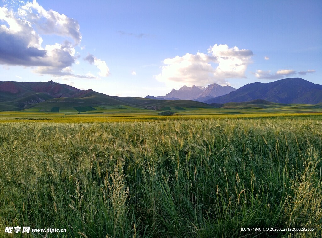 广袤草原与远处山峦美景