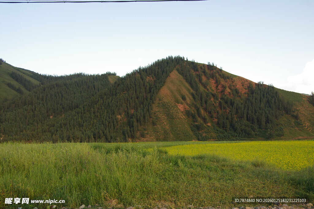 山间绿野黄花美景