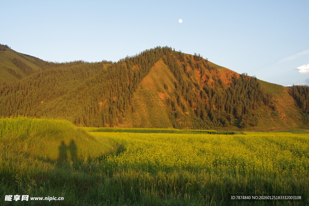 山间绿野 夕阳下的自然美景