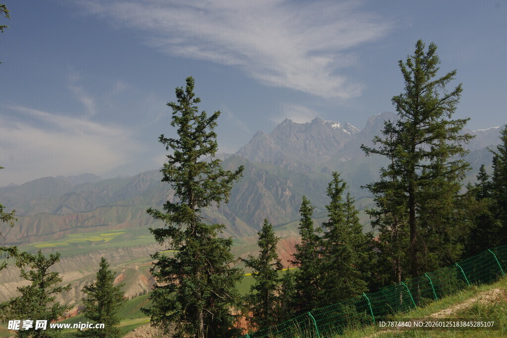 山间松林与远处朦胧山峦