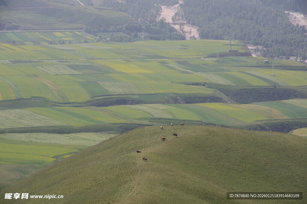 绿色田野上的远足队伍