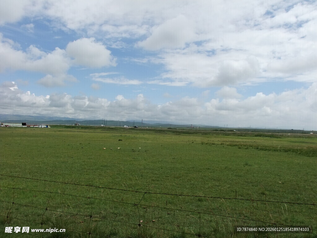 广袤绿野 蓝天白云相映