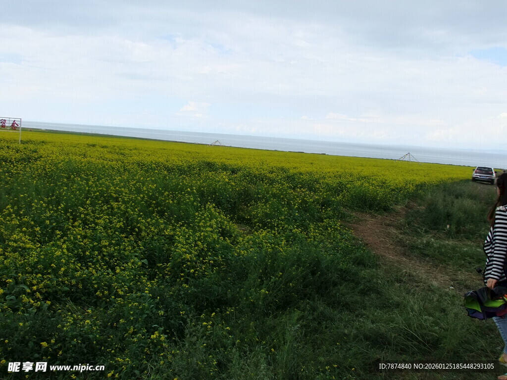 漫步花海小径的惬意时刻