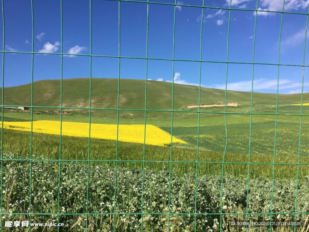 田园风光中的多彩田野