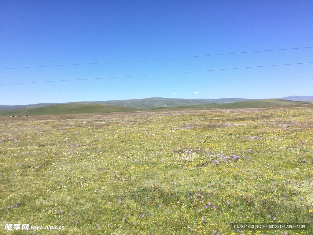 广袤草原 蓝天之下的绿野