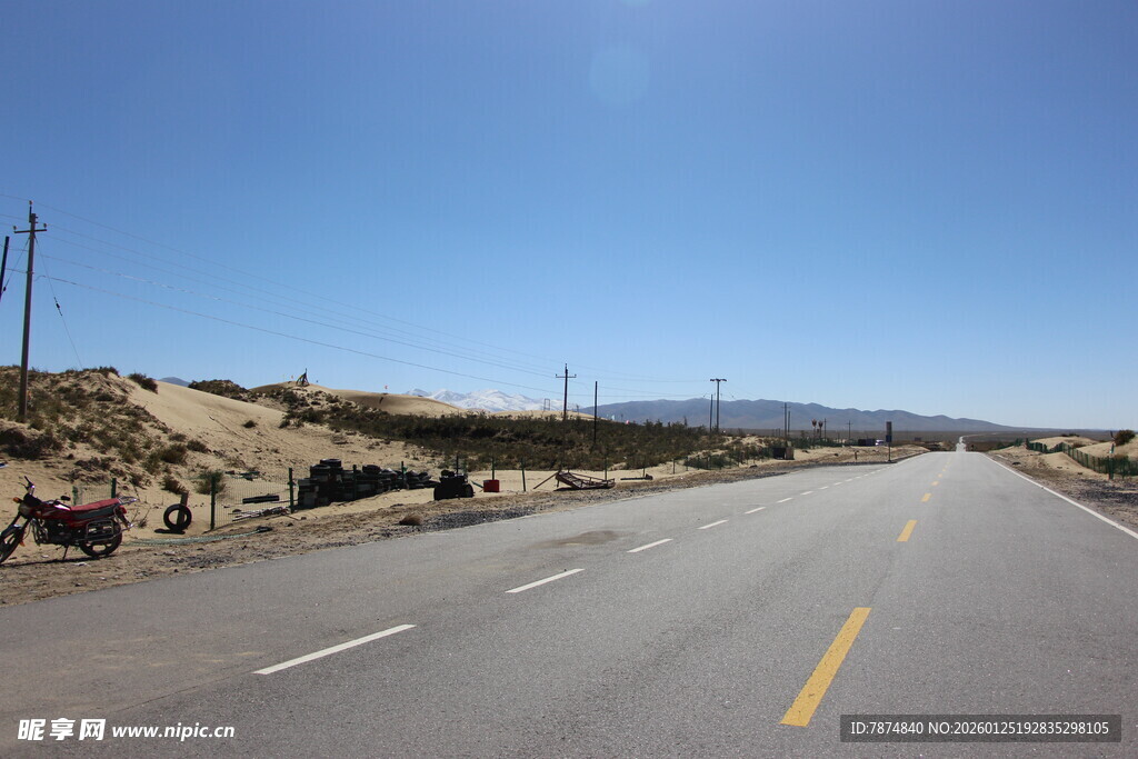 公路边牛群悠然的景象