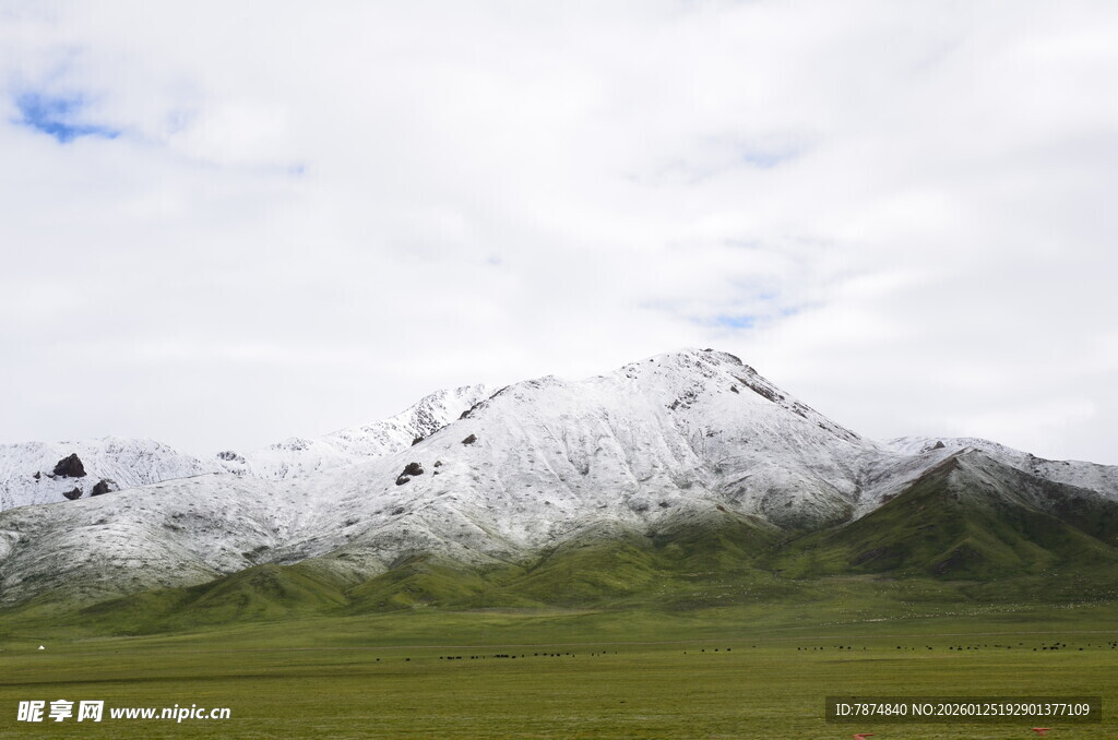 雪山下的广袤草原