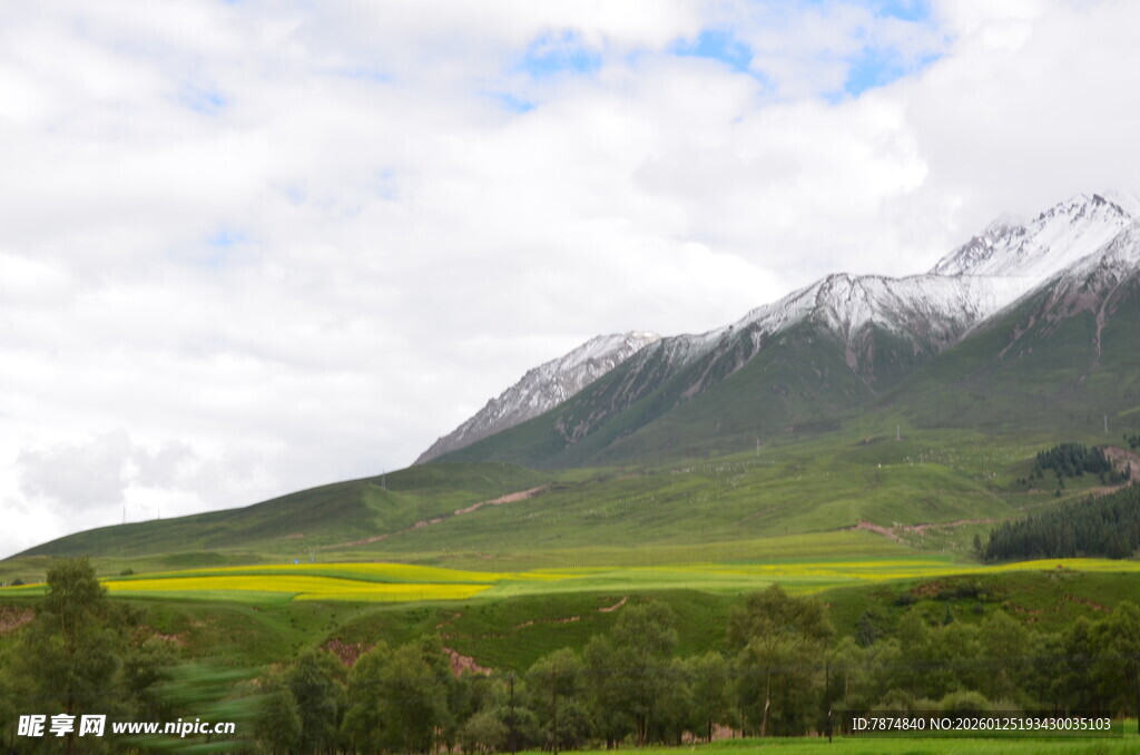 雪山下的黄绿相间美景