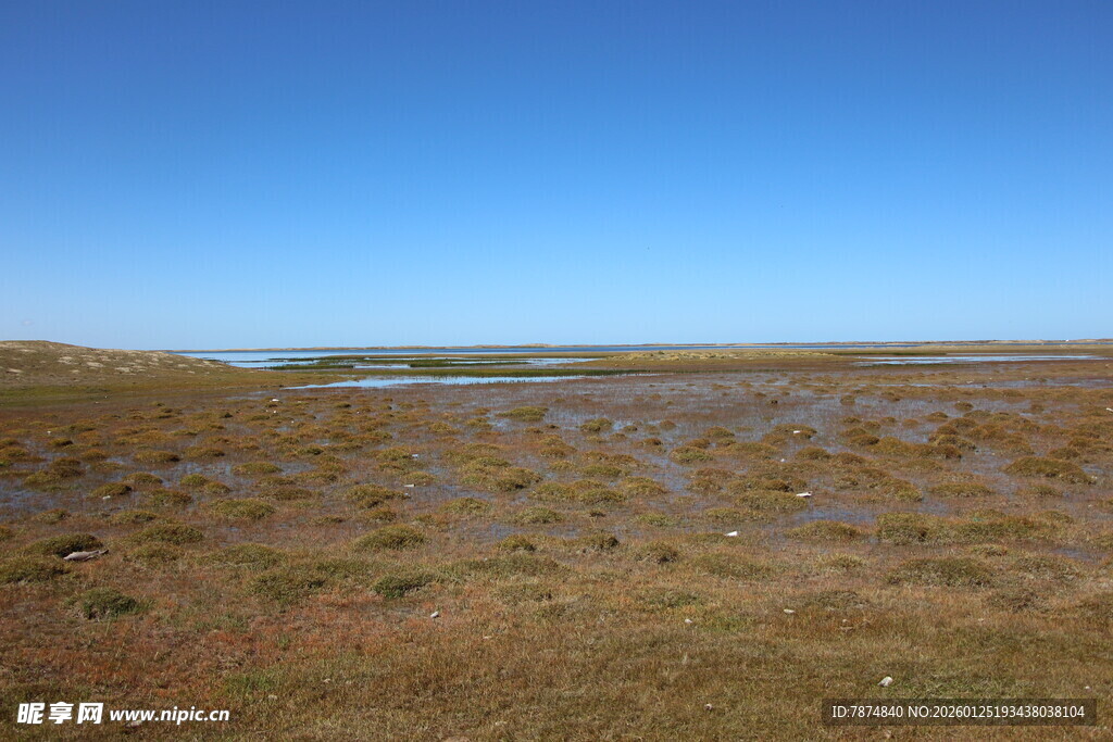 广袤湿地景观