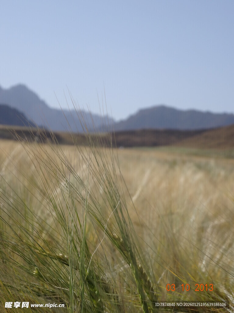 广袤草原与远处山峦