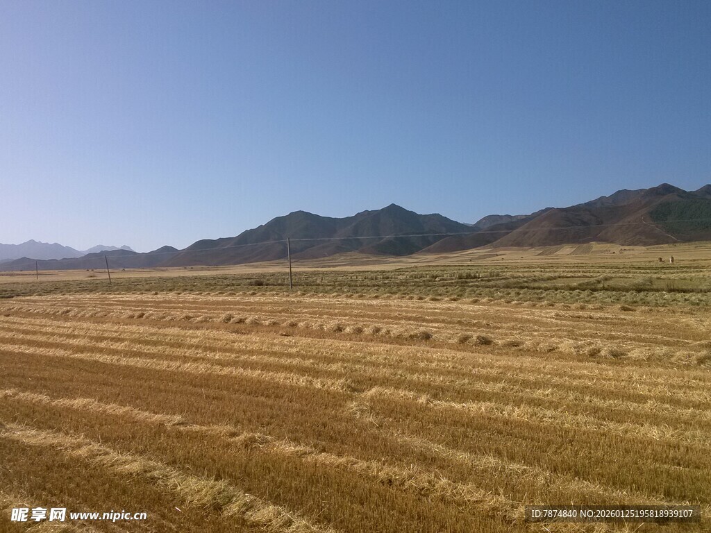 广袤田野与远处山峦