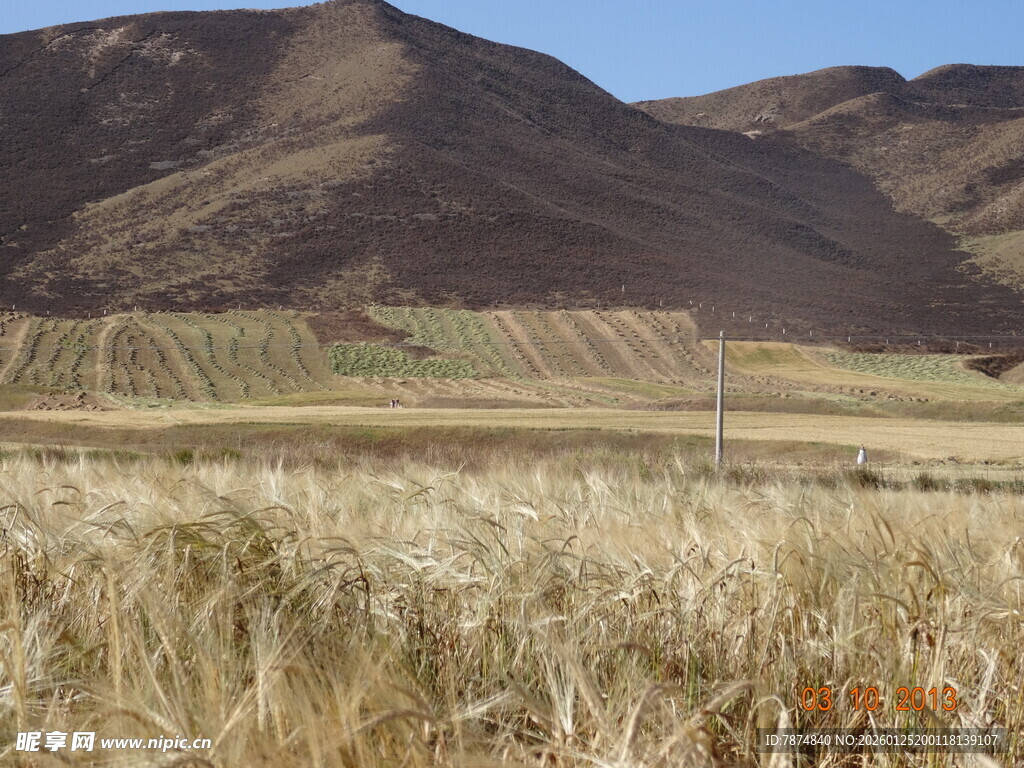 广袤田野与远处山峦
