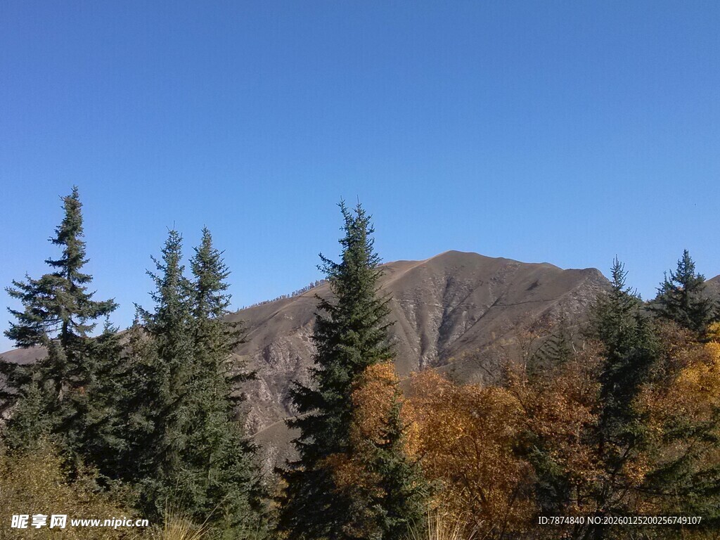 秋日山林中的壮美山峰