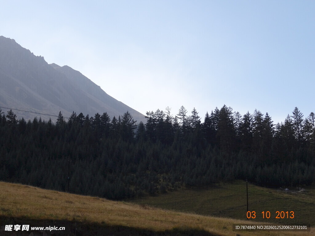 山间草地与茂密树林景观