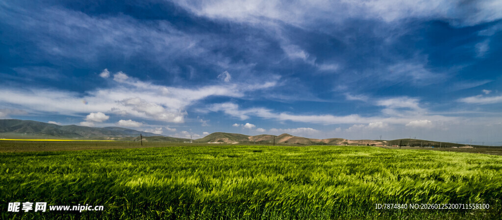 广袤绿野上的蓝天白云