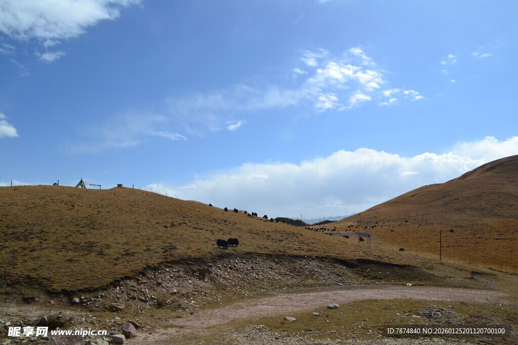 山间土路 蓝天白云下风景