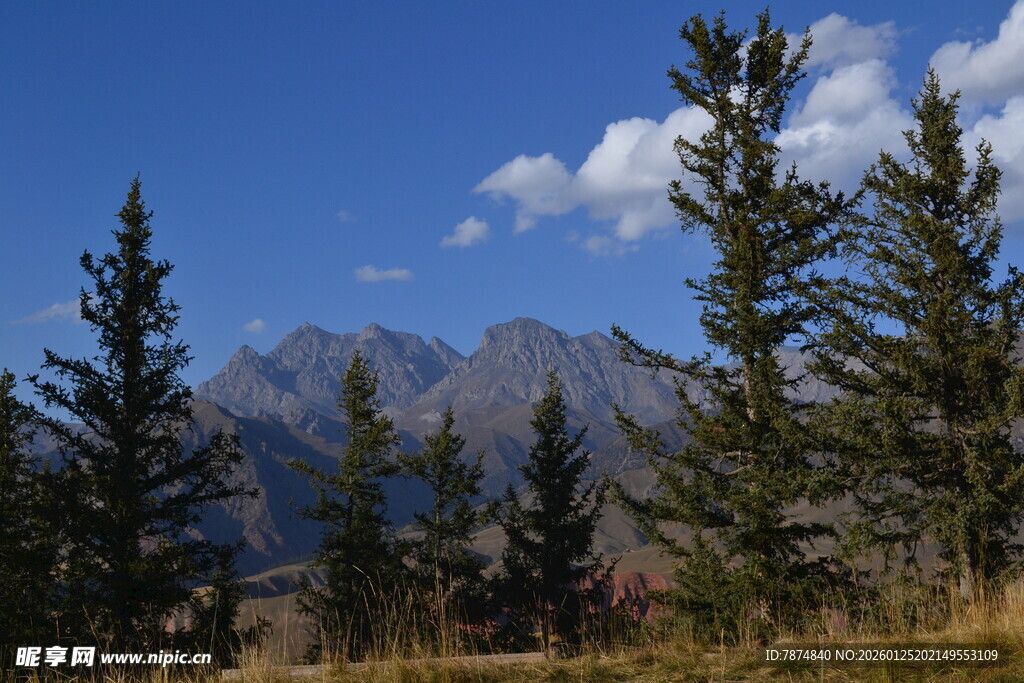 山林间的壮美山脉景观