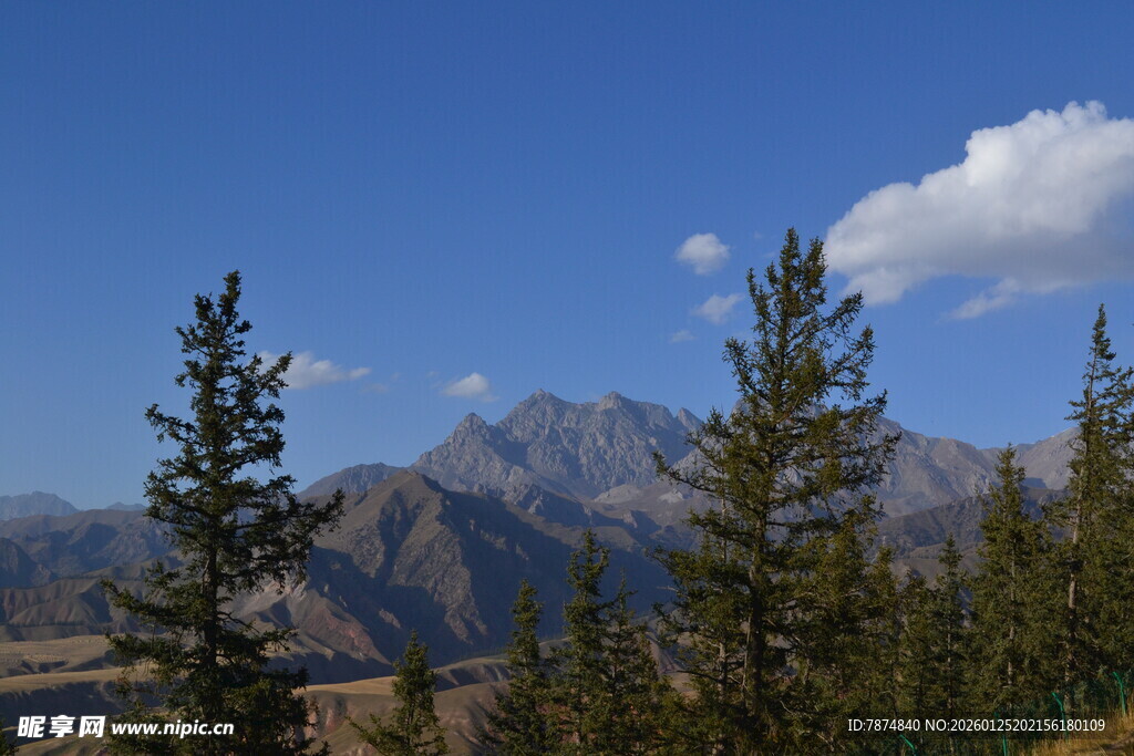 山间松林与远处巍峨山脉
