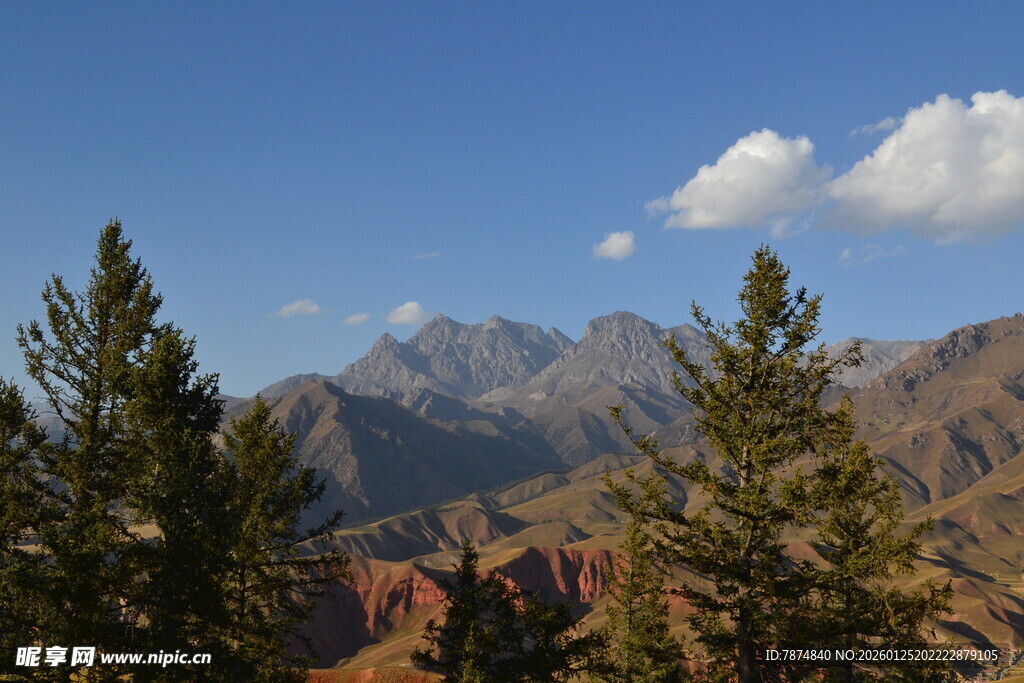山间松林与远处巍峨山脉