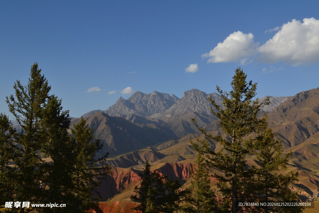 山间松林与远处巍峨山脉