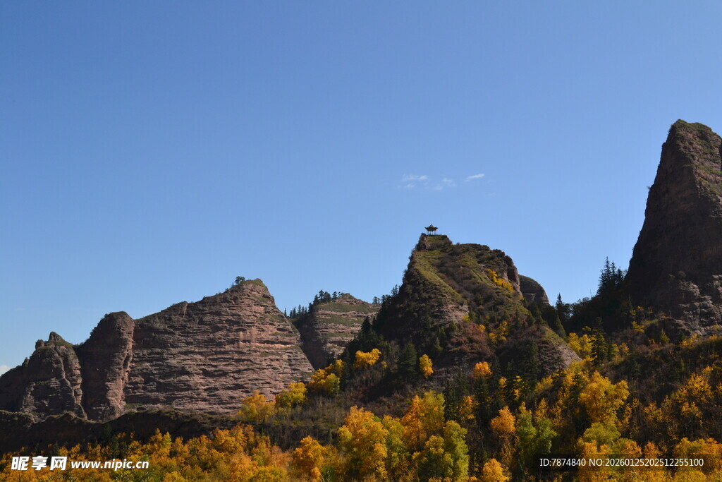 秋日峻岭与烂漫黄叶