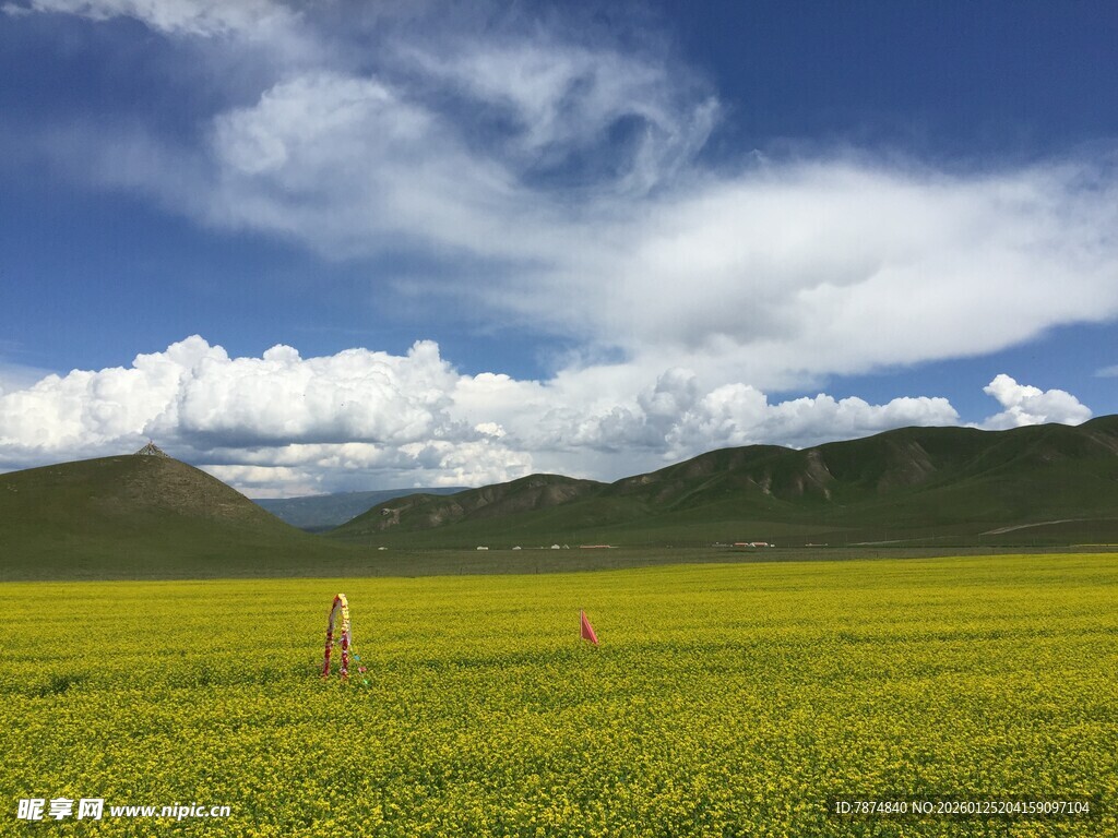 草原风光 蓝天白云青山