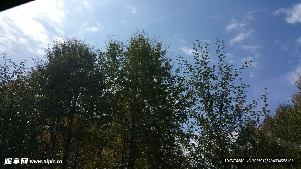 蓝天绿树自然风光图