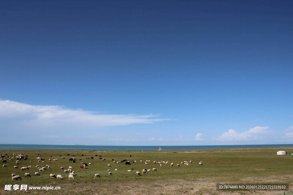 草原蓝天羊群的美丽风光