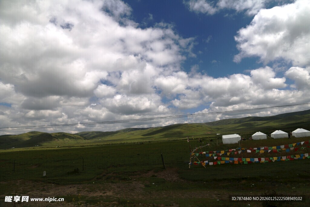 草原上的白色帐篷景观