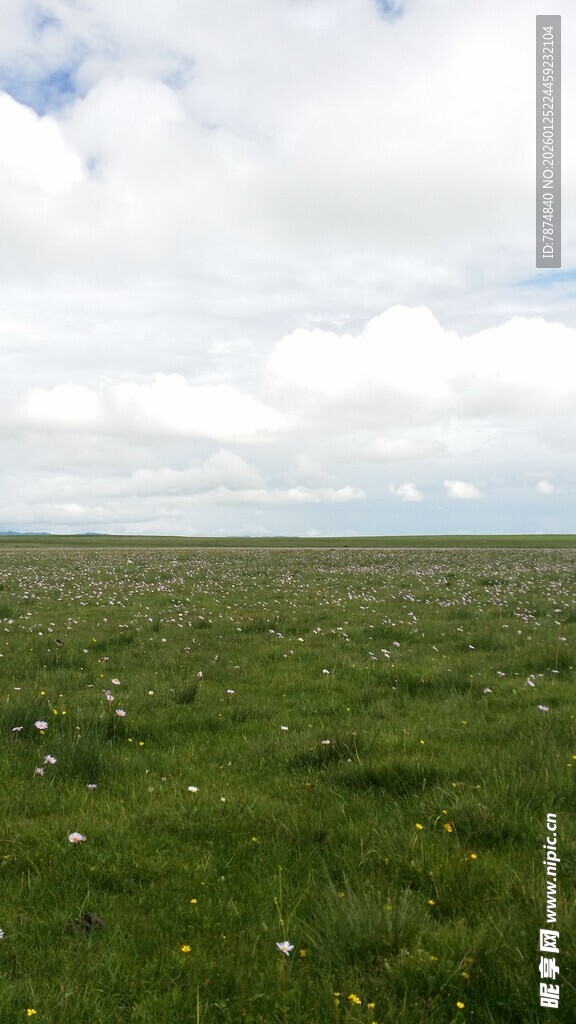 广袤草原 蓝天白云下的绿野