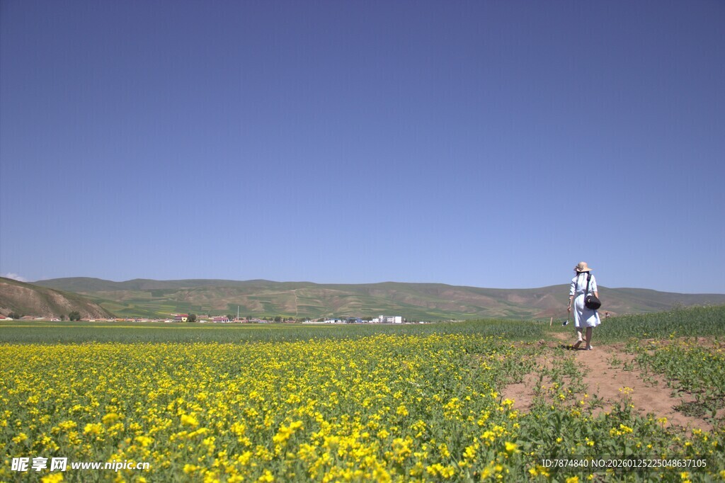 漫步花海间的自在身影