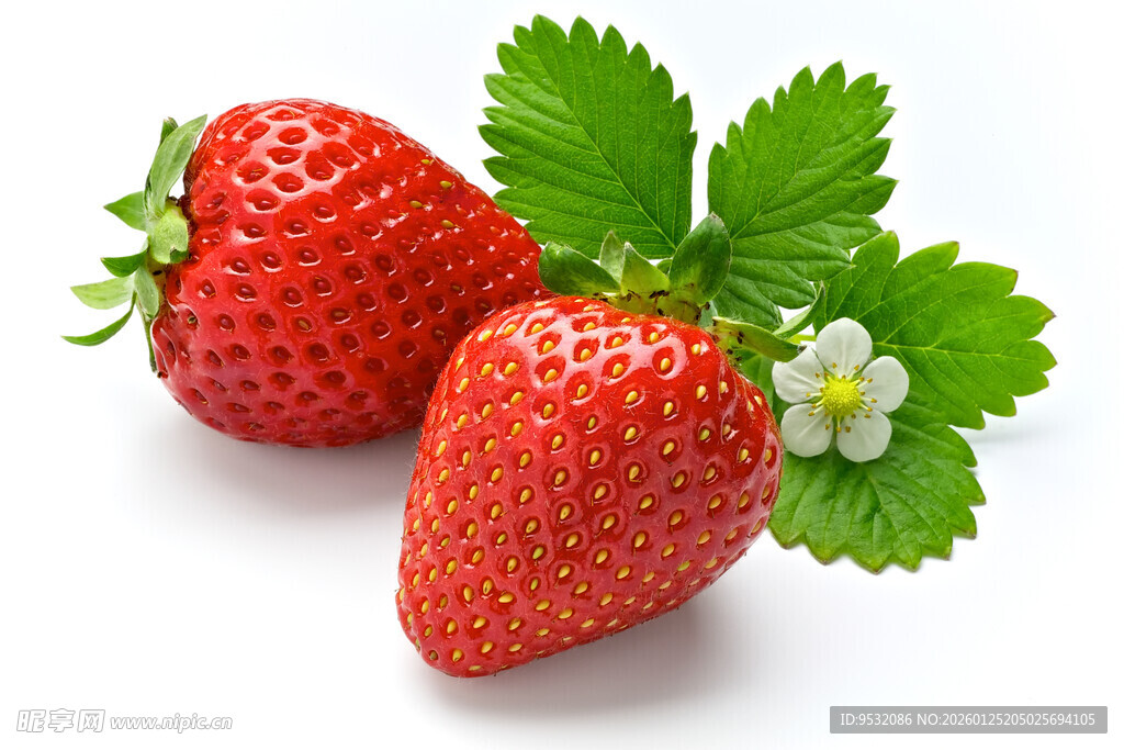 新鲜草莓配绿叶与小花