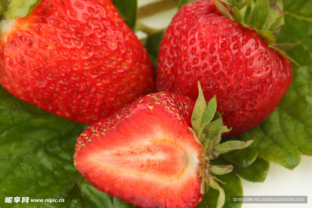 新鲜诱人的草莓果实