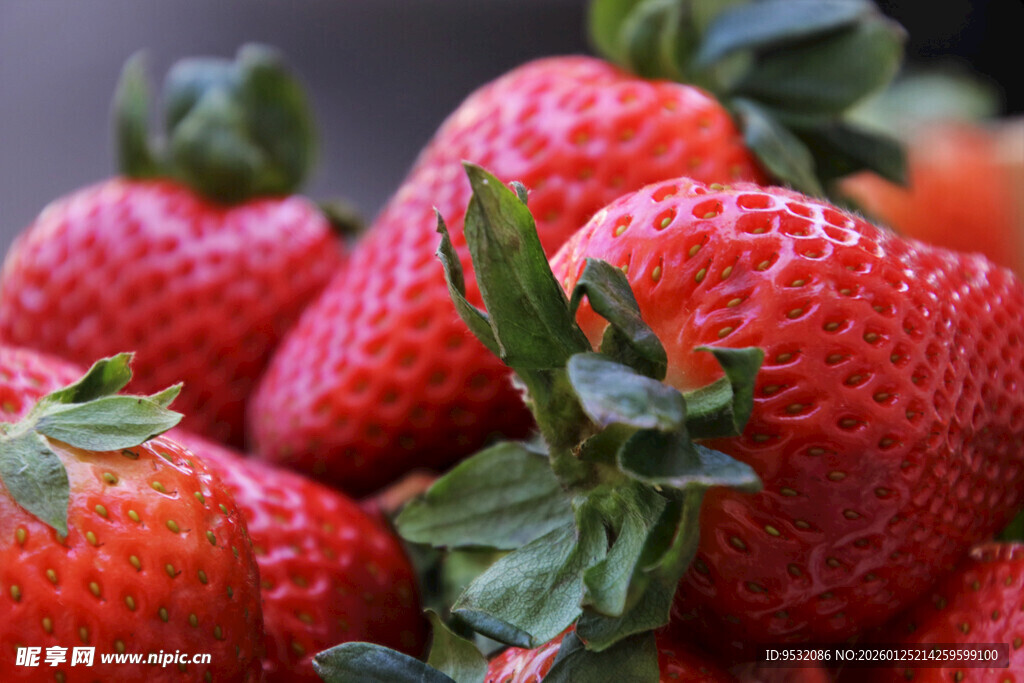 新鲜诱人的草莓果实
