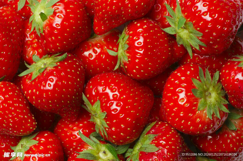 新鲜饱满的红草莓