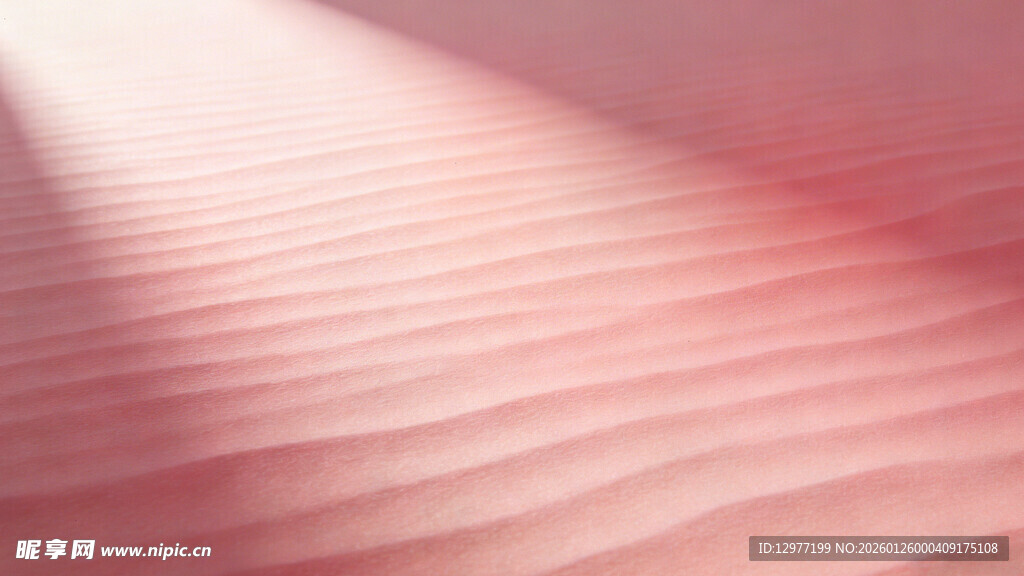 粉色沙海纹理特写