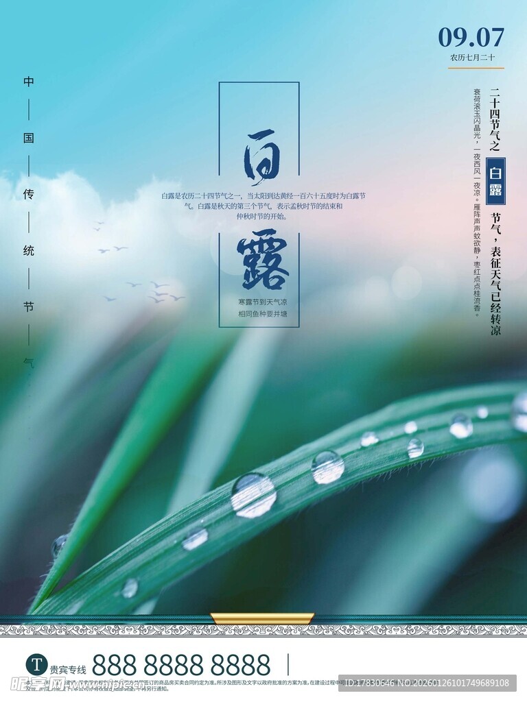 白露海报